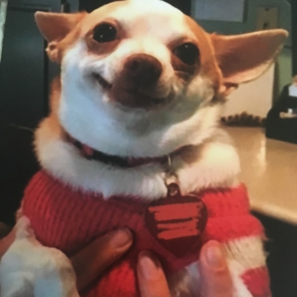 Meet your Posher, Joshua - Picture 1 of 1